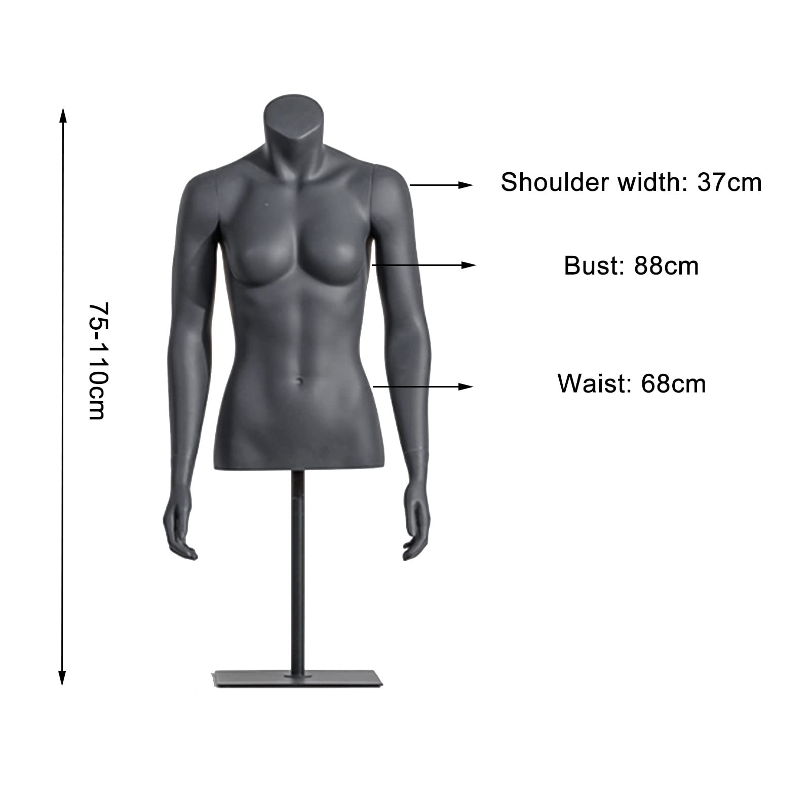洋書 Male Bodies, Women's Souls 洋書 Male Bodies, Women's Souls Amazon.com: Male Bodies